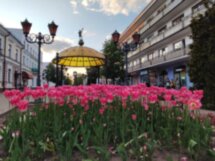 В Беларусь с трансфером на автобусе: замки магнатов, средневековые города и зубры