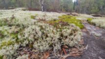 Ладожские шхеры и водопады Карелии за один день
