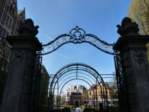 Лучшее в Rijksmuseum с искусствоведом