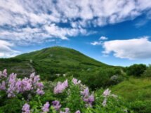 Влюбиться в Пятигорск за один день