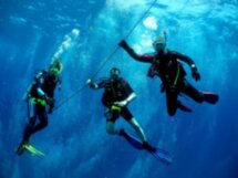 Дайвинг в Черном море
