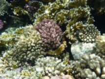 Прогулка на «подводной лодке» в Хургаде