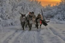 Арктический новый год: Мурманск, Териберка и Хибины