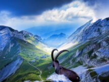Самые красивые горные прогулки
