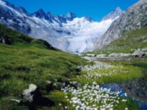 Самые красивые горные прогулки