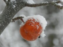 Зимняя сказка в Заволжье