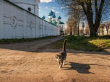 Углич — душа русской провинции