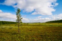Кольский фьорд и великолепие водопадов