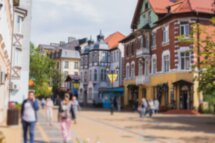 Калейдоскоп русской Балтики: рыцари, сыры, кошачье царство и Куршская коса