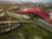 Парк развлечений «Ferrari World»