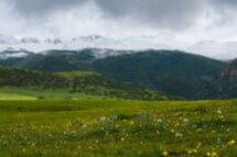 Дикое сердце Кыргызстана