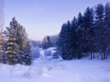 Легенды и были озера Светлояр