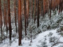 В Сербишино и Быньги — к неизведанным святыням Урала
