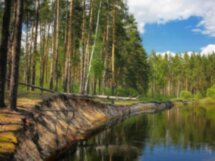 Из Рязани в Касимов — город двух культур