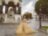 Костюмированная фотосессия в сердце Стамбула
