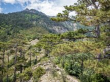 Боткинская тропа — прогулка для здоровья среди легенд Крыма