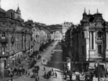 Аристократические Липки
