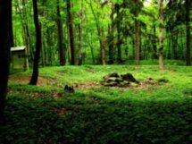 История Пруссии — история Калининградской области