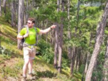 Хайкинг по лесу и канатная дорога на Ай-Петри