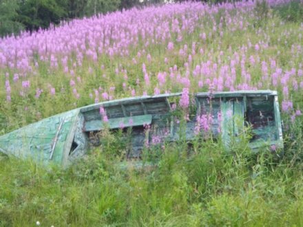 Душевная прогулка по старинной Умбе — поморской вотчине