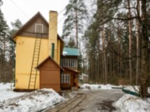 Переделкино с местным жителем и членом Союза писателей