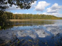 Велопрогулка к Мещерским озерам