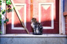 Стамбул, о котором вы не знали