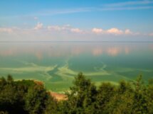 Прогулка на катере по Волхову к озеру Ильмень