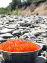 Рыбалка по-камчатски: крабы, икра и свежесваренная уха