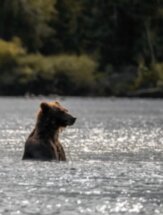 Рыбалка по-камчатски: крабы, икра и свежесваренная уха